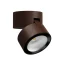 Corten
