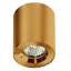 Auriu