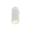 Alb