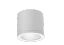 Alb