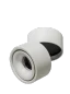 Alb