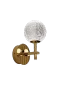 Auriu