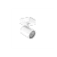 Alb