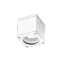 Alb