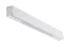 Alb