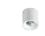 Alb