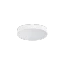 Alb