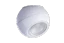 Alb
