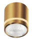 Auriu
