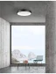 Negru Mat