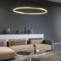 Aplică / plafonieră Febe LED RD 50 W 3000 K D800 SWH 2