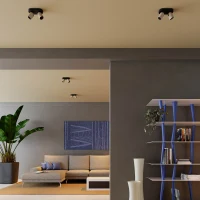 Aplică / plafonieră Kobe LED 16 W 2700 K BK/SILVER COFFEE TRIAC 2