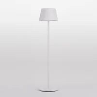 Lampadare Teseo LED 10 W RGB+2700/3000/4000 K IP65 Alb Mat