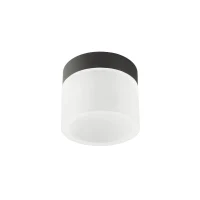 Plafonieră Naida 1X6W LED SBK