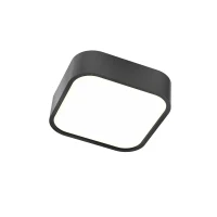 Screen IP Plafonieră LED 14 W 3000 K IP44 BK/GLASS