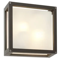 Aplice Brick Glass E27 2 x 42 W IP54 Gri Închis