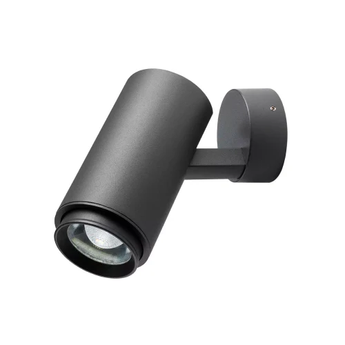 Мини-проекторы Eagle LED 7 W 3000 K IP54 Темно-серый