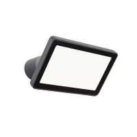 Proiectoare Flux LED 30 W 3000 K IP65 Gri Închis