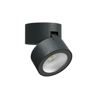Aplice Shaft LED 13 W 2700 K IP65 Gri Închis