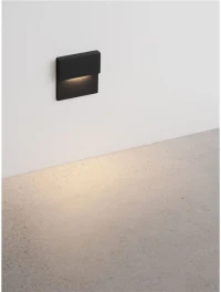 Aplică exterior DAN LED 2 W, 220-240 V, 38 lm, 3000K, IP65, policarbonat și aluminiu