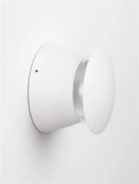Aplică exterior RAY LED 9 W, 220-240 V, 167 lm, 3000K, IP65, aluminiu 10