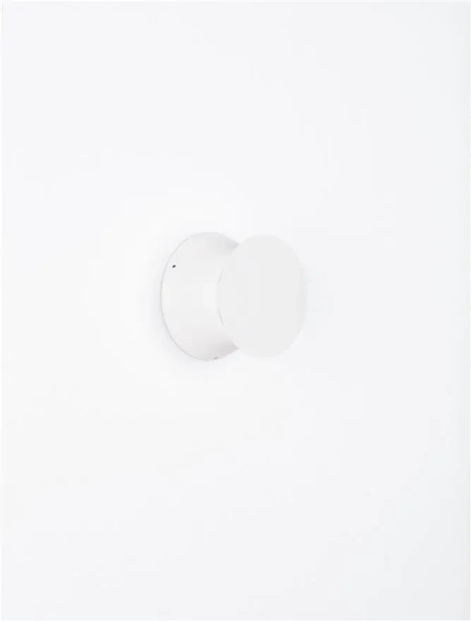 Aplică exterior RAY LED 9 W, 220-240 V, 167 lm, 3000K, IP65, aluminiu 6
