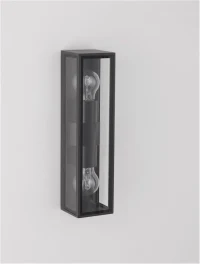 Aplică exterior REGINA E27, 2x12 W, 220-240 V, IP54, aluminiu și sticlă 7