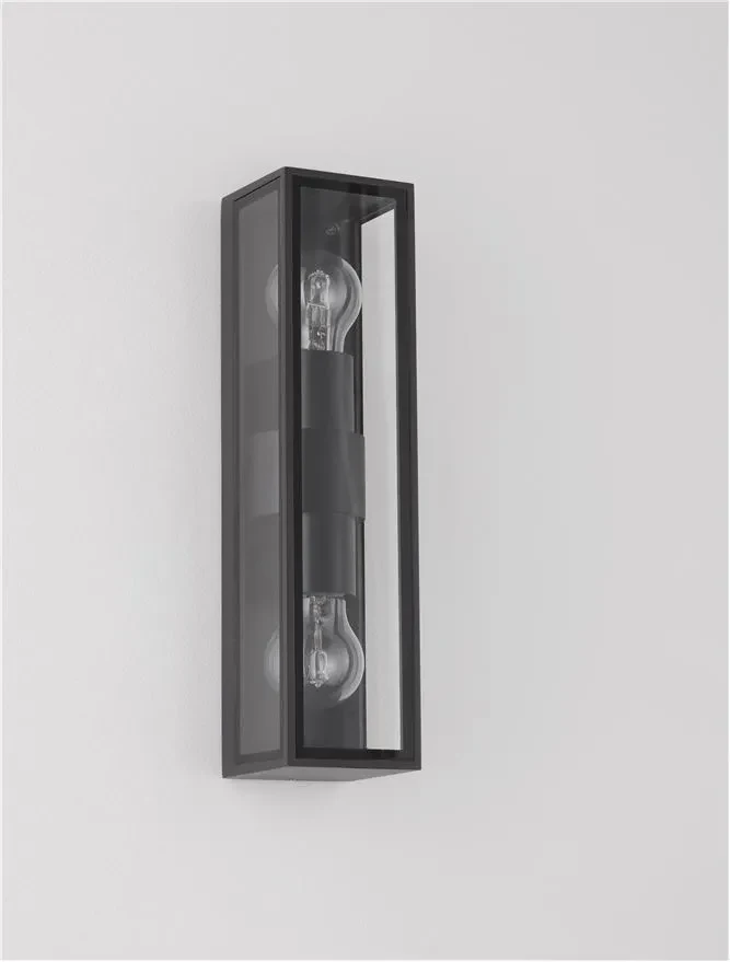 Aplică exterior REGINA E27, 2x12 W, 220-240 V, IP54, aluminiu și sticlă 8