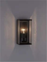 Aplică exterior REGINA E27, 1x12 W, 220-240 V, IP65, aluminiu și sticlă 8