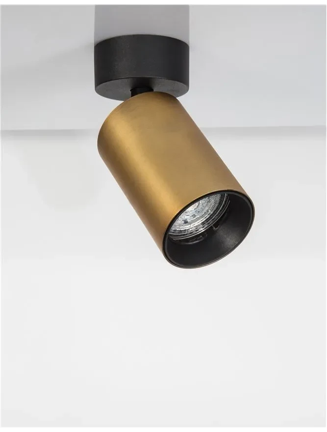 Proiector INUS GU10, 1x10 W, 220-240 V, IP20, aluminiu 3