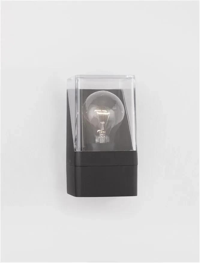 Aplică exterior SELENA E27, 1x12 W, 220-240 V, IP65, aluminiu și acril 4