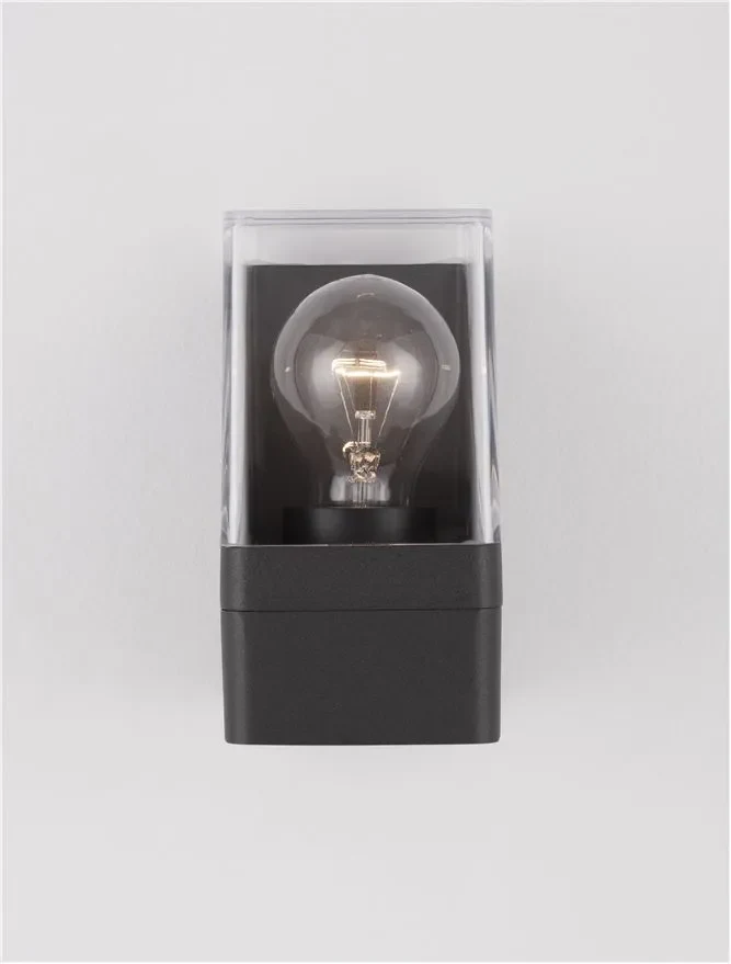 Aplică exterior SELENA E27, 1x12 W, 220-240 V, IP65, aluminiu și acril 6