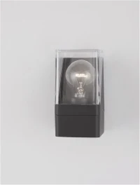 Aplică exterior SELENA E27, 1x12 W, 220-240 V, IP65, aluminiu și acril 9