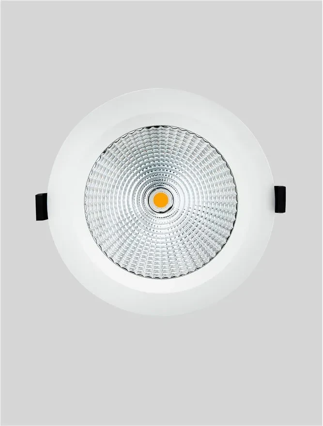 Spot Spark LED 25 W, 220-240 V, 2760 lm, 4000K, IP54, CRI ≥90, aluminiu 3
