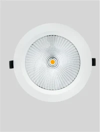 Spot Spark LED 30 W, 220-240 V, 3608 lm, 4000K, IP54, CRI ≥90, aluminiu 3