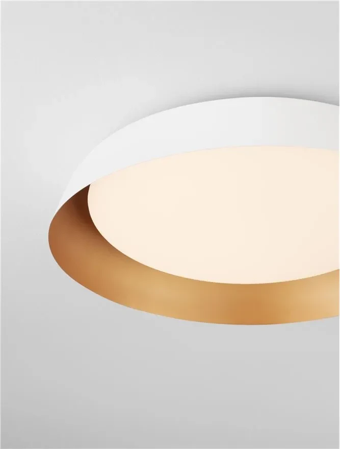 Accesoriu Plafonieră SOLVIA IP54, oțel 3