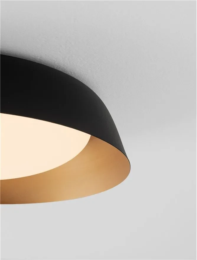 Accesoriu Plafonieră SOLVIA IP54, oțel 2