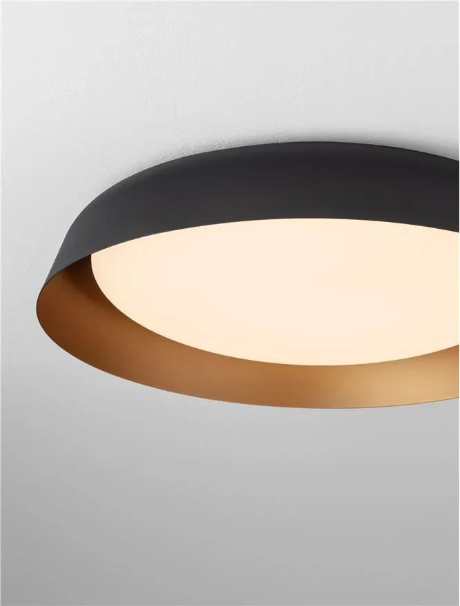 Accesoriu Plafonieră SOLVIA IP54, oțel 7