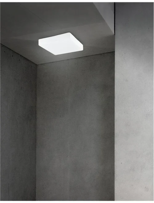 Plafonieră CUBE E27, 1x12 W, 220-240 V, IP44, metal și sticlă