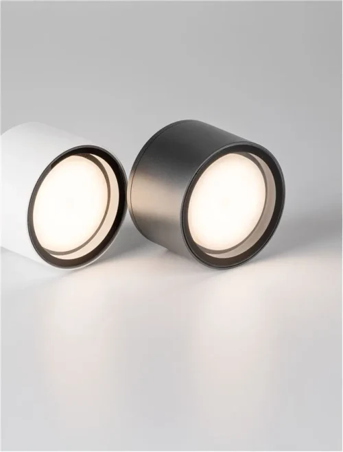 Plafonieră exterior FOCUS GX53 7 W, 220-240 V, 424 lm, 3000K, IP54, aluminiu și sticlă