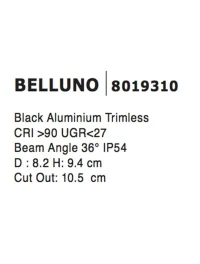 Spot BELLUNO IP54, aluminiu 4