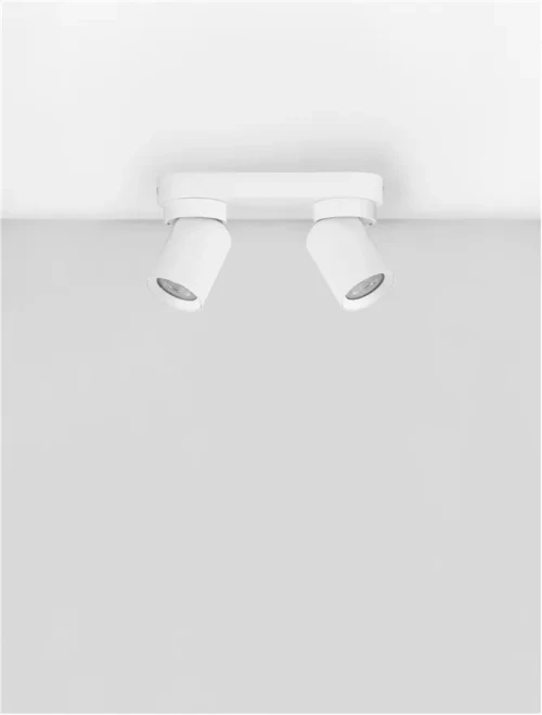 Plafonieră AMECY GU10, 2x10 W, 230 V, IP20, aluminiu