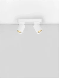 Plafonieră AMECY GU10, 2x10 W, 230 V, IP20, aluminiu 4