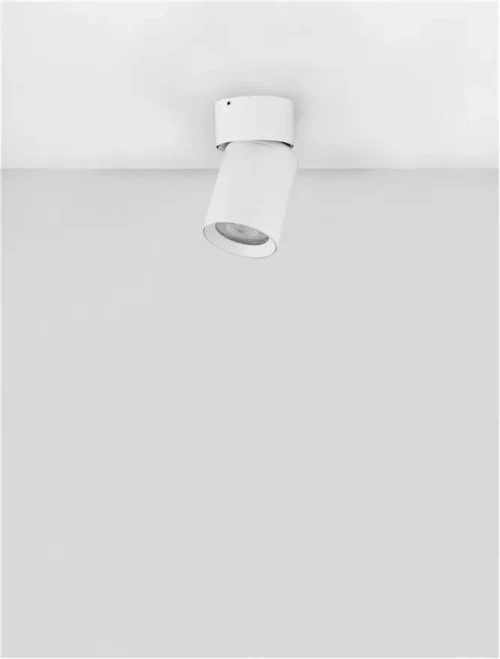 Proiector AMECY GU10, 1x10 W, 230 V, IP20, aluminiu