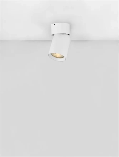 Proiector AMECY GU10, 1x10 W, 230 V, IP20, aluminiu