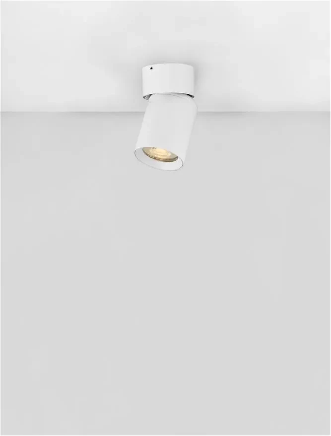 Proiector AMECY GU10, 1x10 W, 230 V, IP20, aluminiu 4