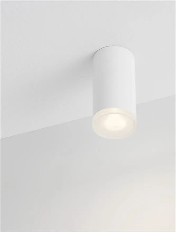 Plafionieră MAO GU10, 1x10 W, 100-240 V, IP44, aluminiu și acril 5