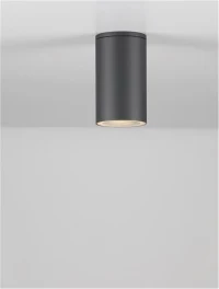 Plafonieră exterior CERISE GU10, compatibil 1x35 W, 220-240 V, IP54, aluminiu și sticlă