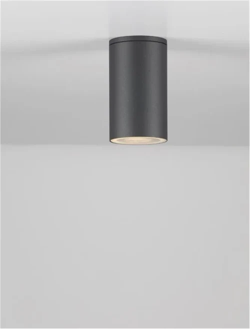 Plafonieră exterior CERISE GU10, compatibil 1x35 W, 220-240 V, IP54, aluminiu și sticlă