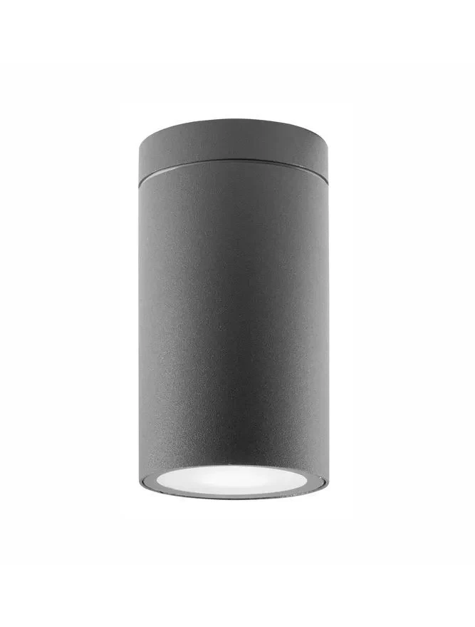 Plafonieră exterior CERISE GU10, compatibil 1x35 W, 220-240 V, IP54, aluminiu și sticlă 2